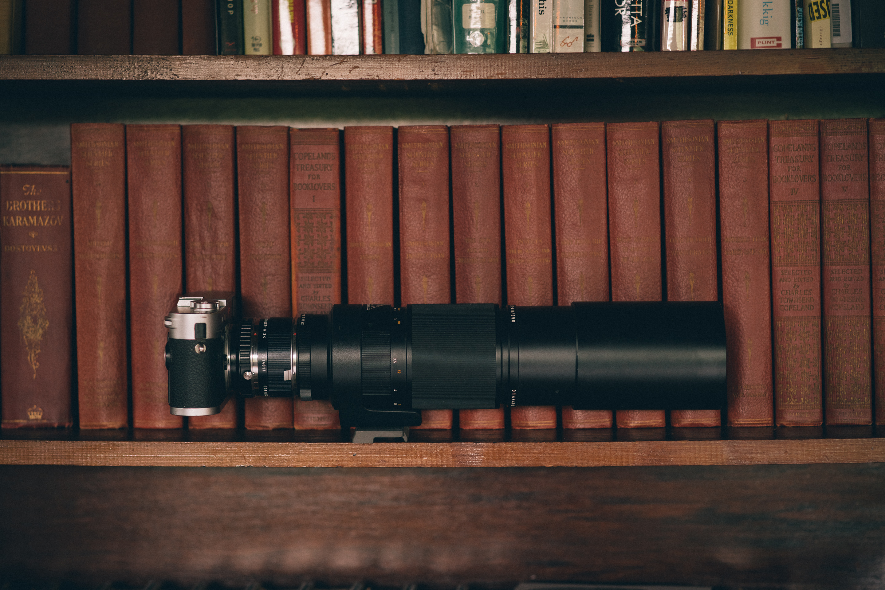 Leica M with Leica Telyt-R 350mm lens